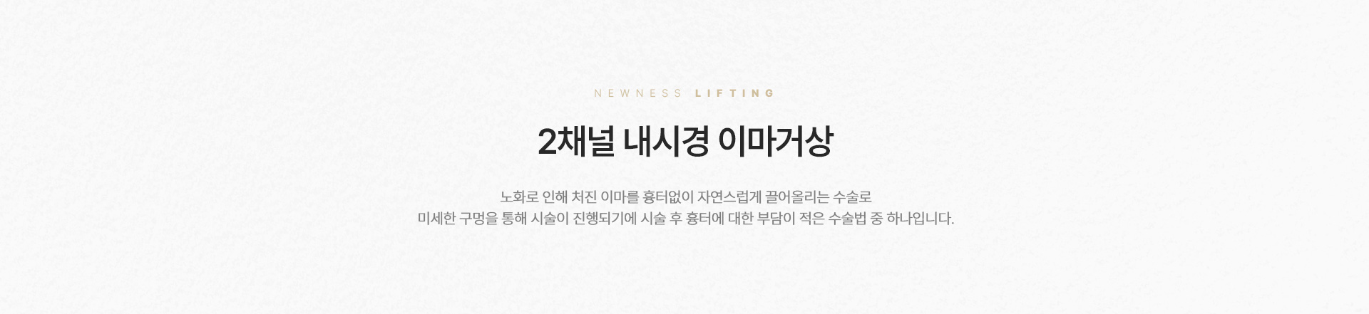 이마내시경 정의