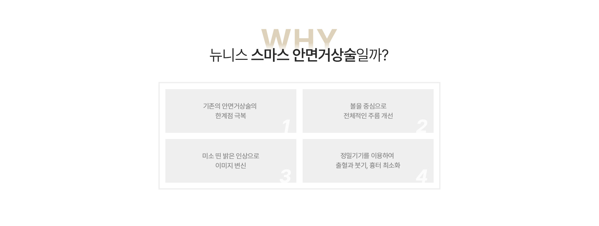 스마스안면거상술 이유