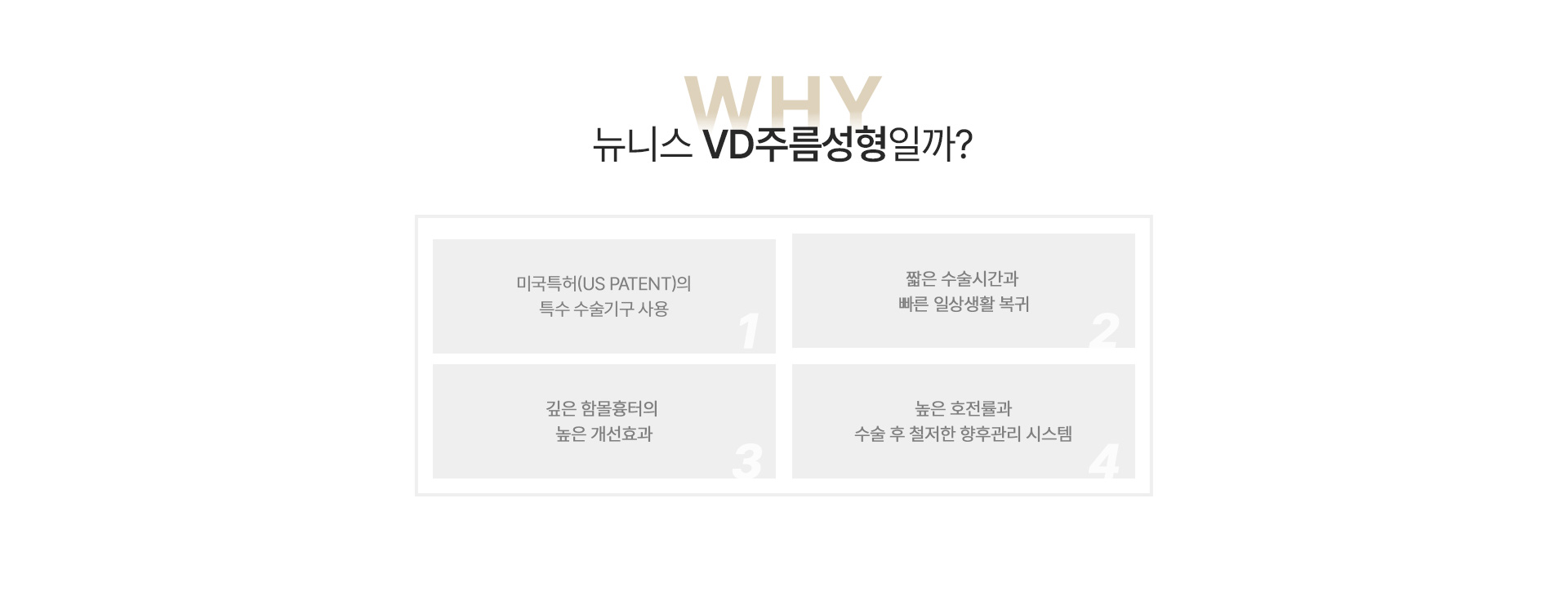 깊은주름·흉터VD성형술 이유